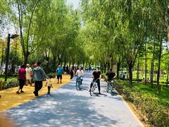 -郑东新区湿地公园