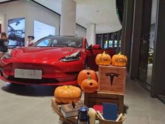 -TESLA 特斯拉(广州天环广场体验店)