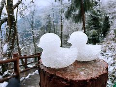 -九峰山