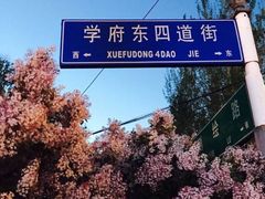 -黑龙江大学