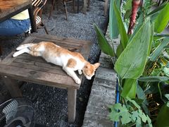 -喜洲吧·江畔老船厂·庭院餐厅(喜临院店)