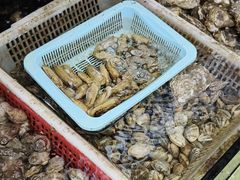 -坛南湾阿强农家乐.海鲜大排档老字号(福州地标美食店)