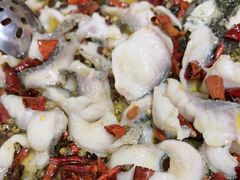 -金三可市井水煮鱼(金碧园店)