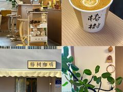 -椿树咖啡