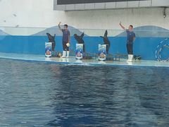 -北戴河圣蓝海洋公园