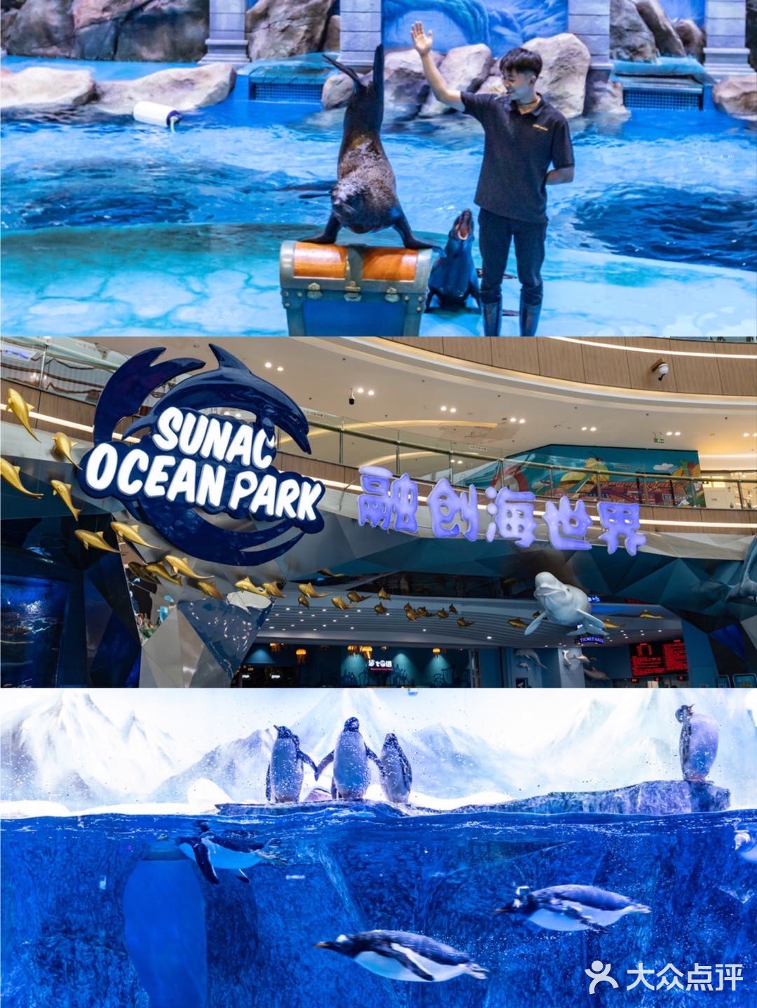 室内的水乐园，完全不担心晒伤