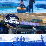室内的水乐园，完全不担心晒伤