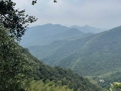 -莫干山风景区