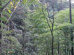 -藏龙百瀑风景区