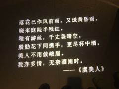 -胡桃里乐队酒馆(鎏嘉码头店)