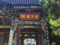 -晋祠公园