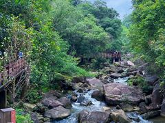 -广州白江湖森林公园