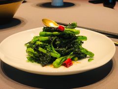 大豆苗清炒-新荣记(南京西路店)