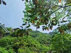-浙北大峡谷