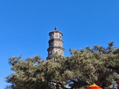 -鲁山国家森林公园