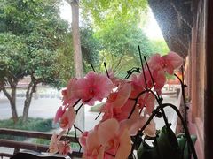 -钱王祠
