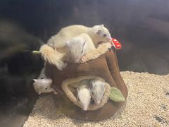 -太平洋海底世界