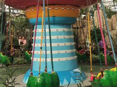 -南宫五洲植物乐园