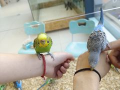 -怪兽屋·羊驼·猫咖·狗咖(俊华广场店)