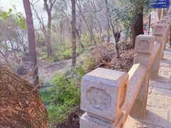 -灵岩山风景区