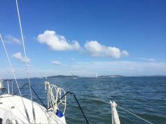 -海豚湾扬帆出海帆船游艇