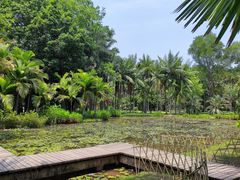 -中国科学院西双版纳热带植物园