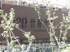 景点-北外滩滨江绿地