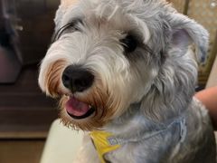 -渔惑·中山脆肉鲩火锅(仁恒梦店)