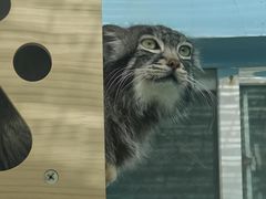 -青藏高原野生动物园