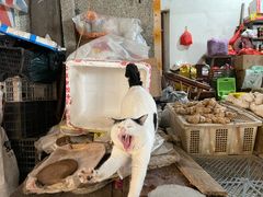 -铜陵人民市场