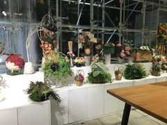 -证大喜玛拉雅中心