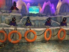 -帝企鹅自助餐厅•儿童岛•真企鹅(长隆企鹅酒店)