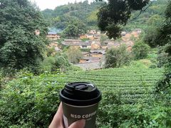 -杨家堂村