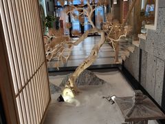 -漫卷香烤鸭春饼