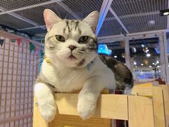 -小时光咖啡馆(开森度假森林店)