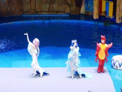 -烟台海昌鲸鲨海洋公园