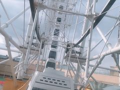 -摩天活力城·摩天轮