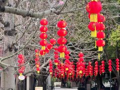 -广东圆玄道观