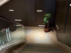-水之梦(黄浦店)