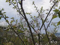 -东钱湖旅游度假区