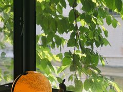 -默迹咖啡馆