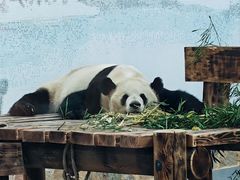 -无锡动物园·太湖欢乐园