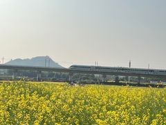 -光明小镇欢乐田园