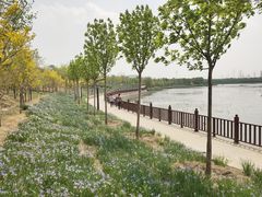 -天津东丽湖风景区