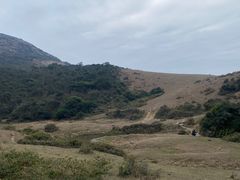 -大姆山草场