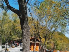 -九如山休闲旅游度假区