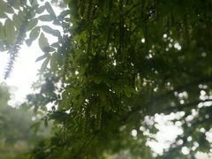 -九里河湿地公园