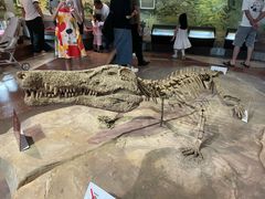 -自贡恐龙博物馆