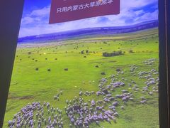 -浩爷羊蝎子火锅(望京店)