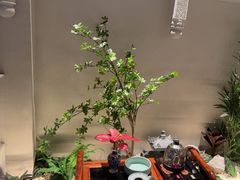 -晓粤·惹味粤菜(凯德乐峰广场店)